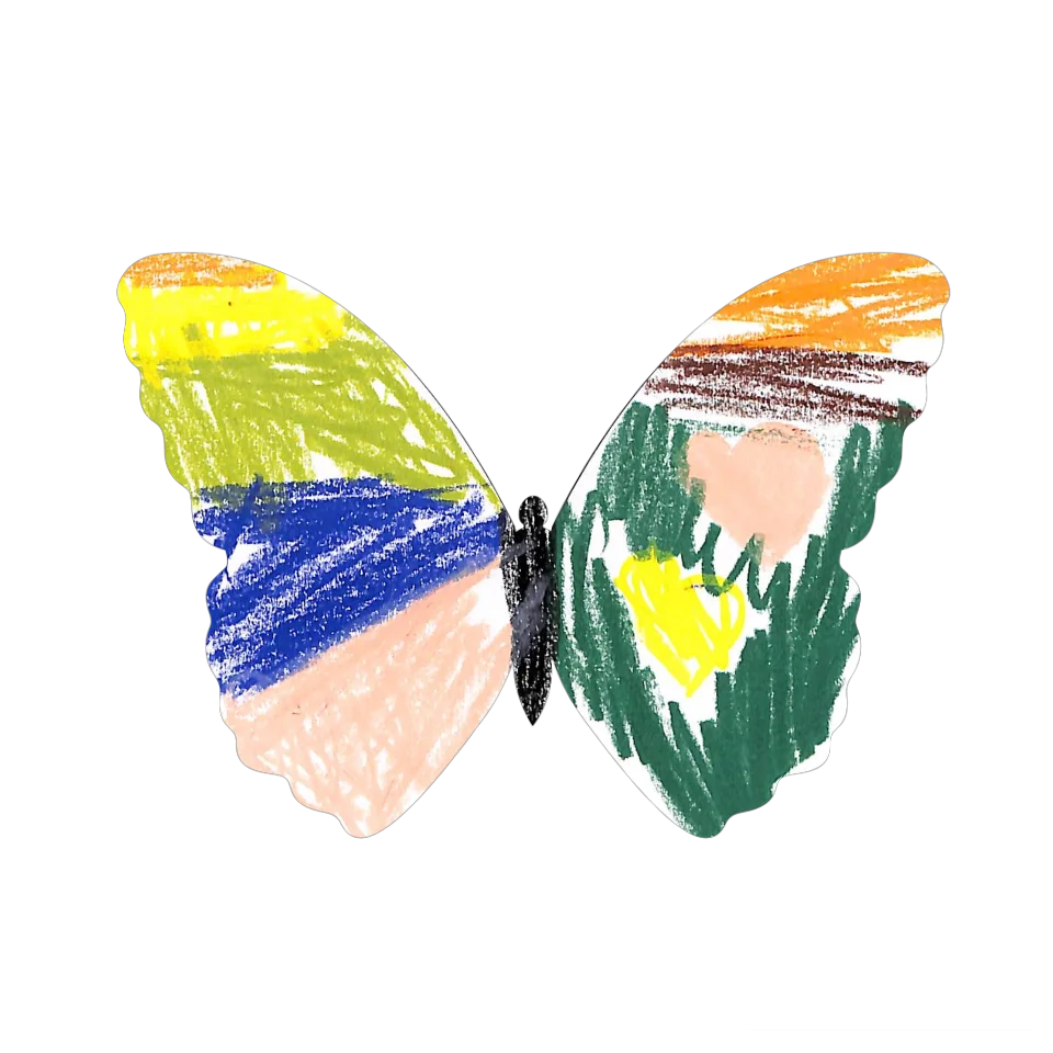 Original Butterfly Image