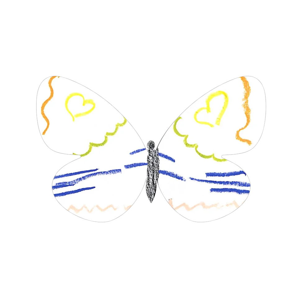 Original Butterfly Image