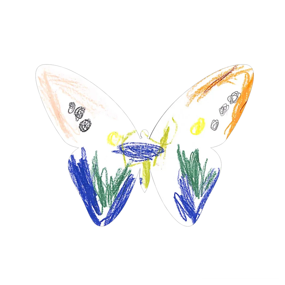 Original Butterfly Image