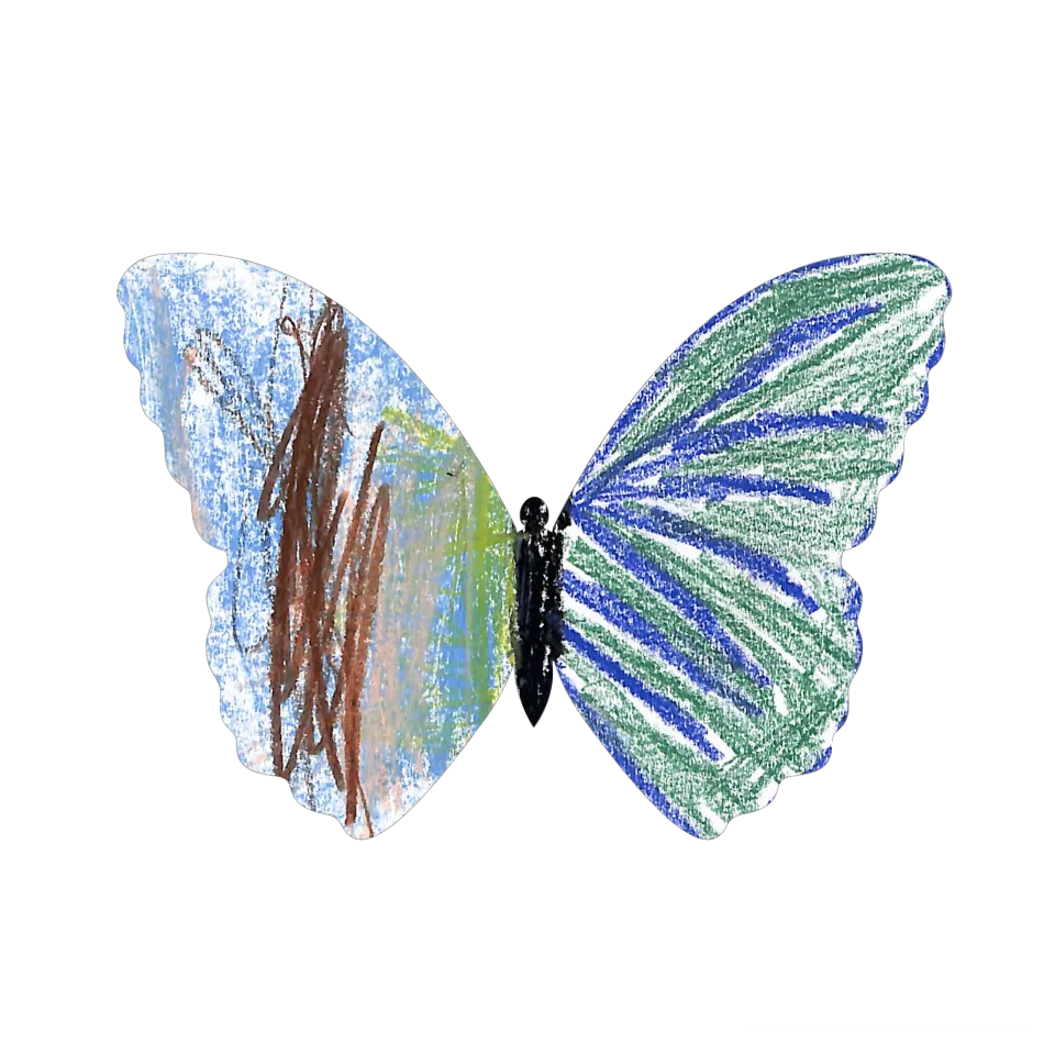 Original Butterfly Image