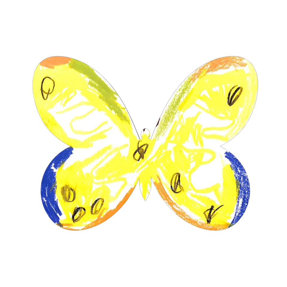 Original Butterfly Image