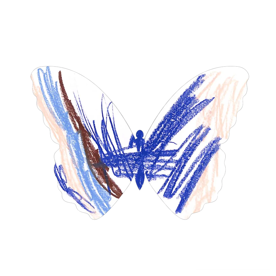 Original Butterfly Image