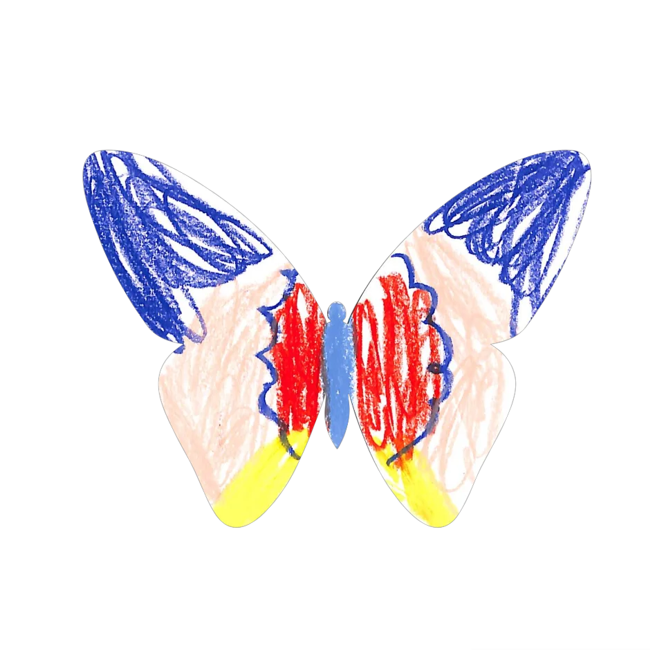 Original Butterfly Image
