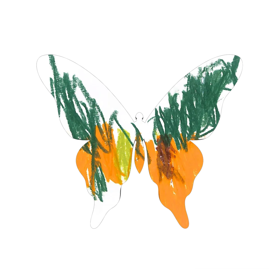 Original Butterfly Image