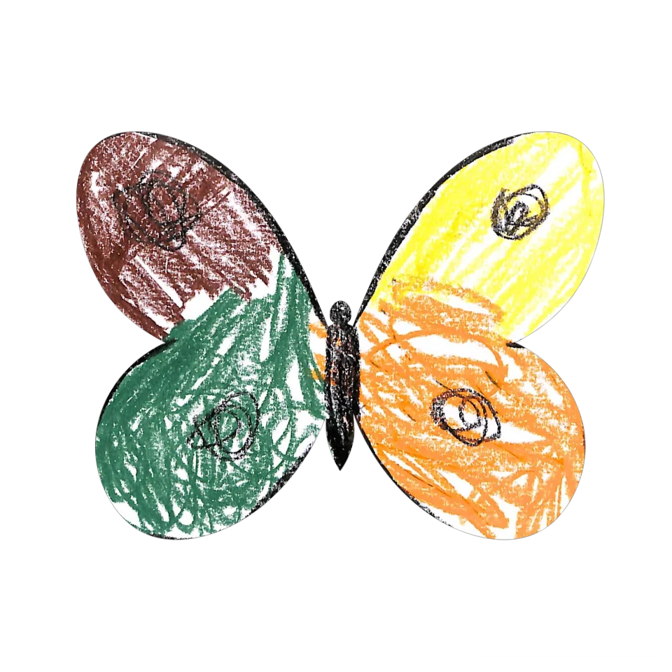 Original Butterfly Image