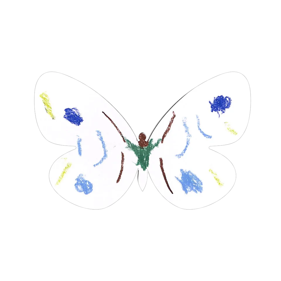 Original Butterfly Image