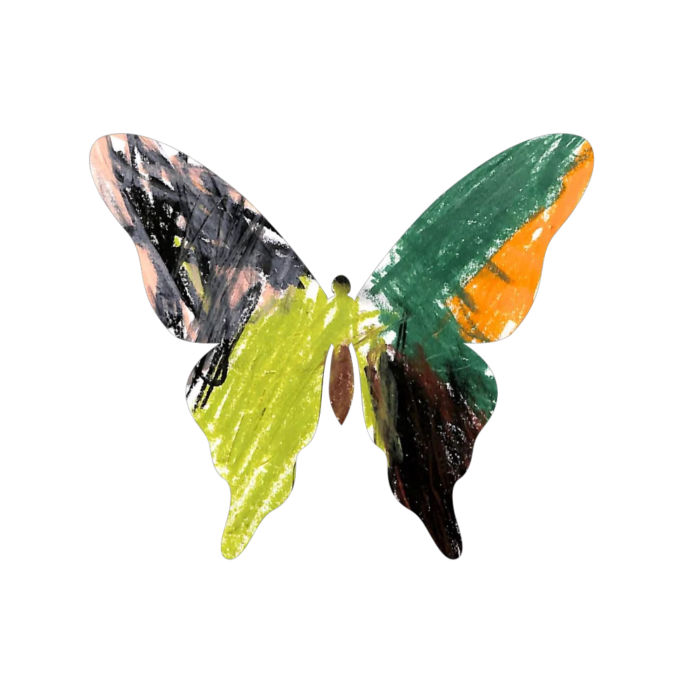 Original Butterfly Image