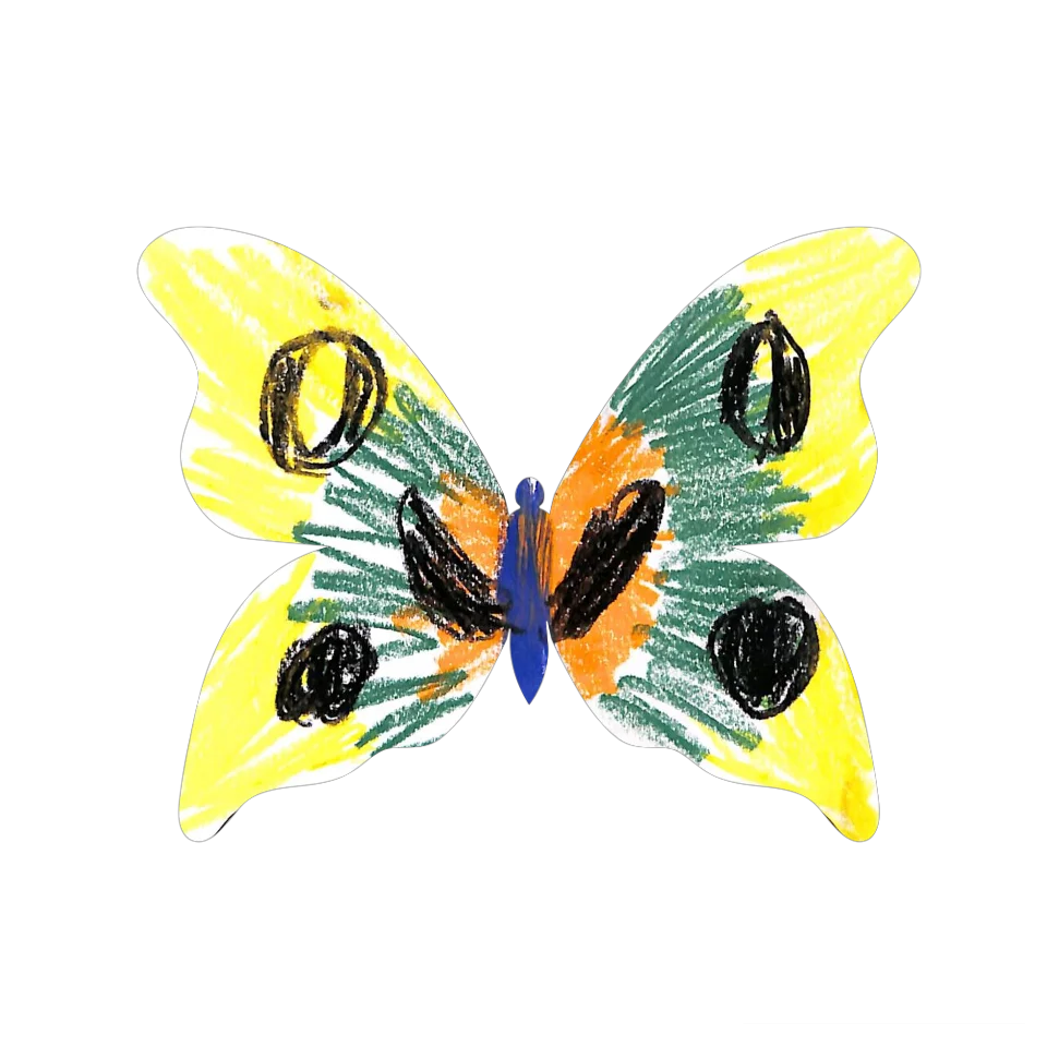 Original Butterfly Image