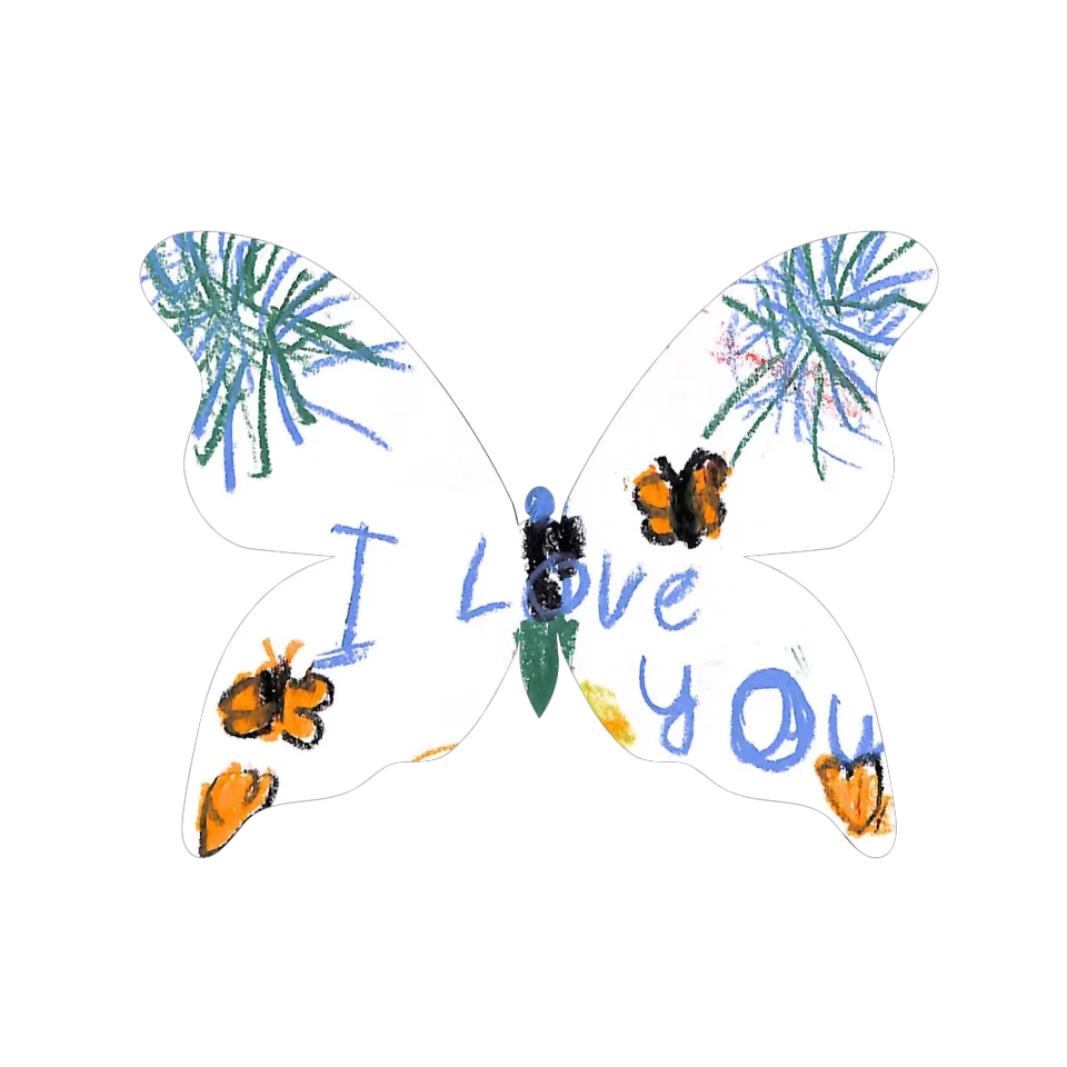 Original Butterfly Image