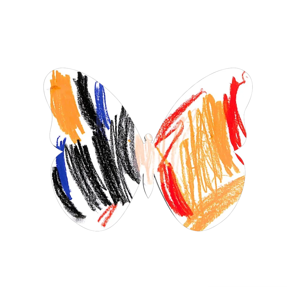 Original Butterfly Image