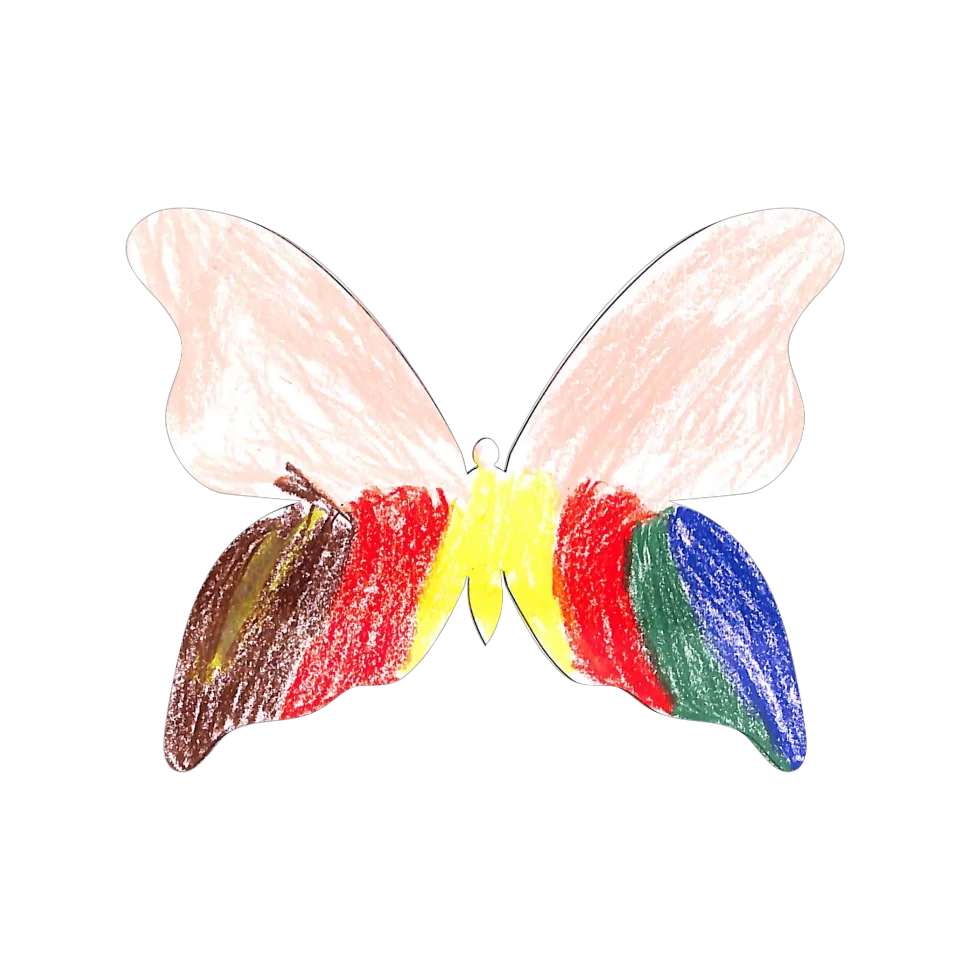 Original Butterfly Image