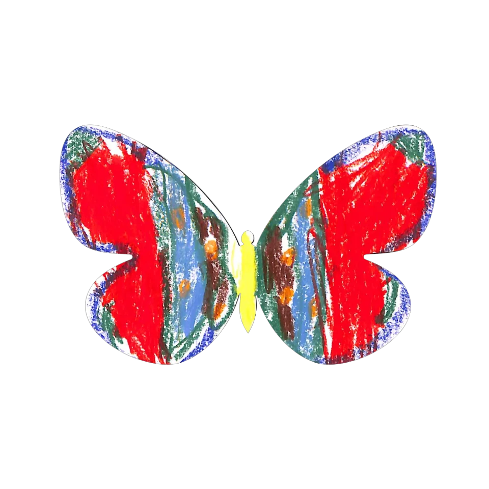 Original Butterfly Image