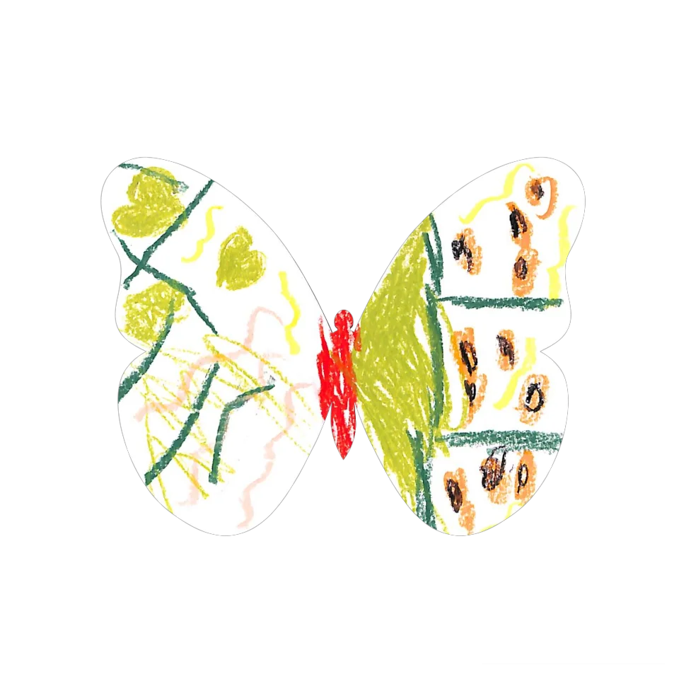 Original Butterfly Image