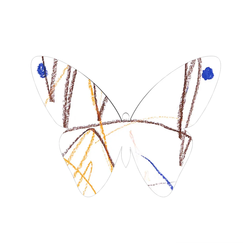 Original Butterfly Image