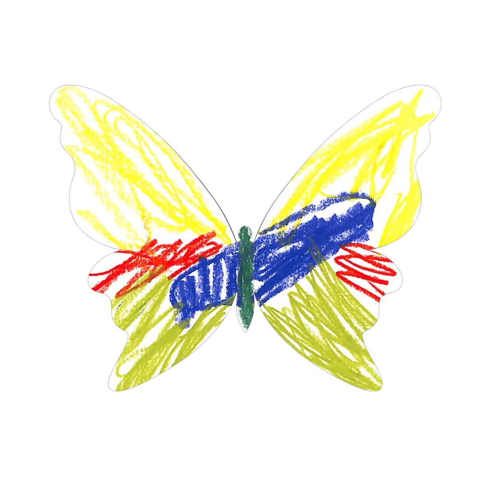 Original Butterfly Image