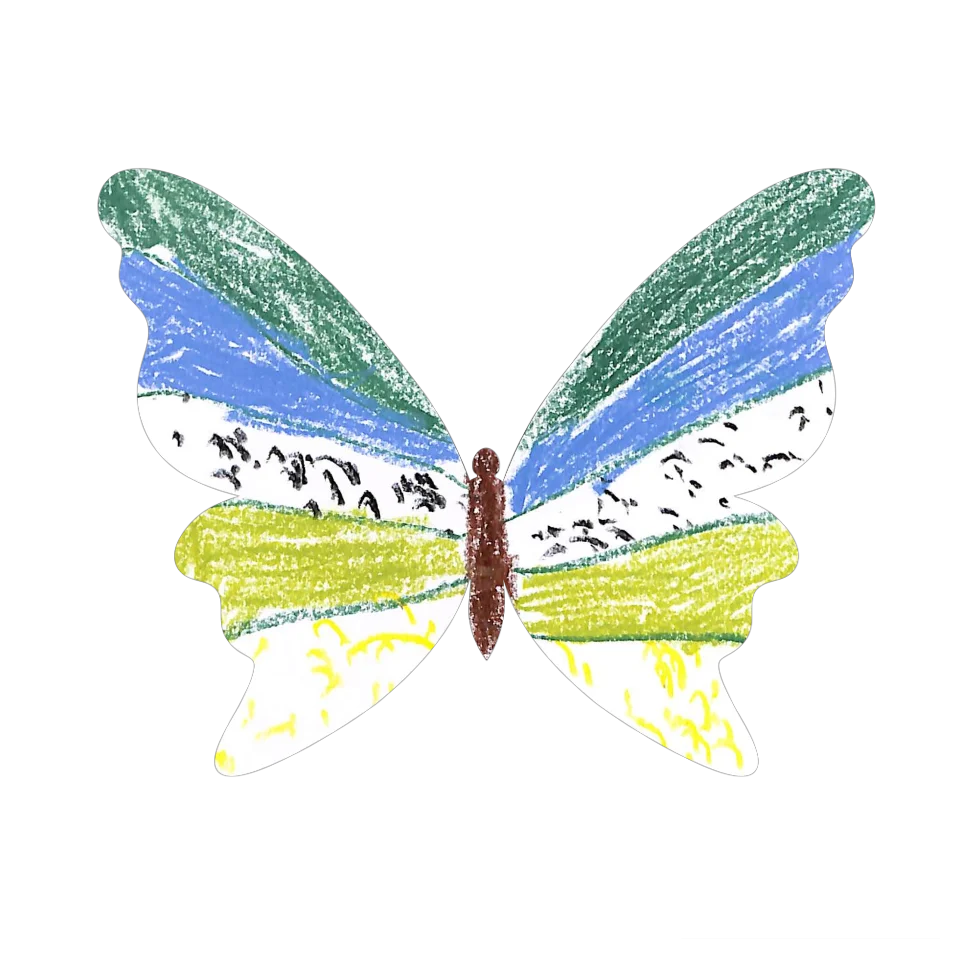 Original Butterfly Image