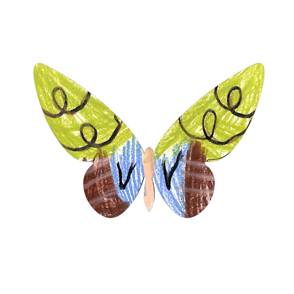 Original Butterfly Image