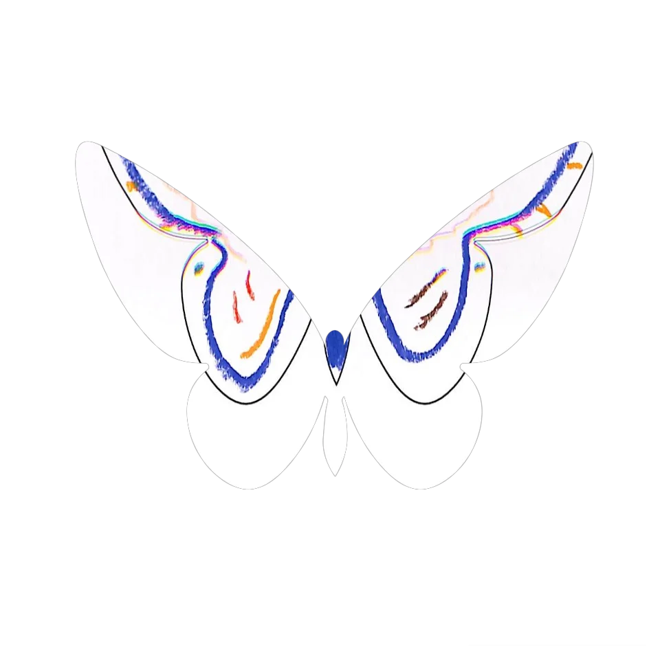 Original Butterfly Image