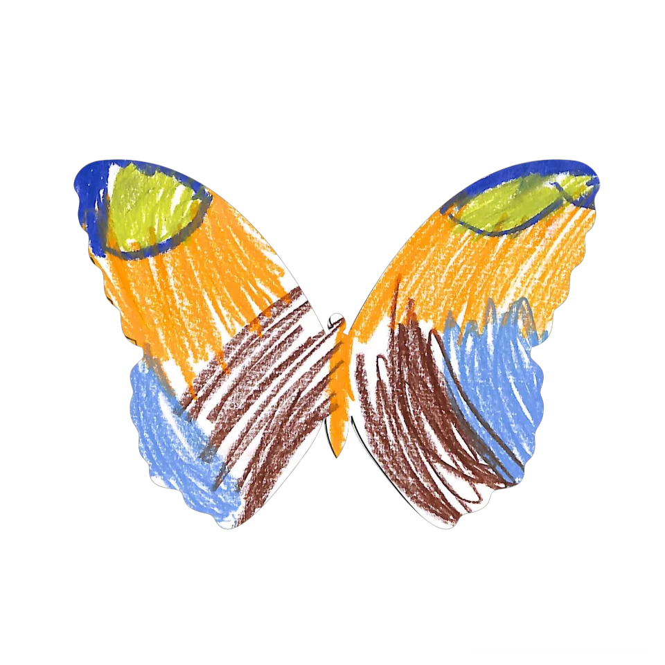 Original Butterfly Image