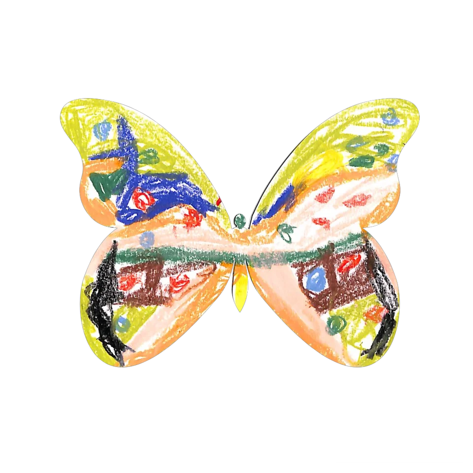 Original Butterfly Image