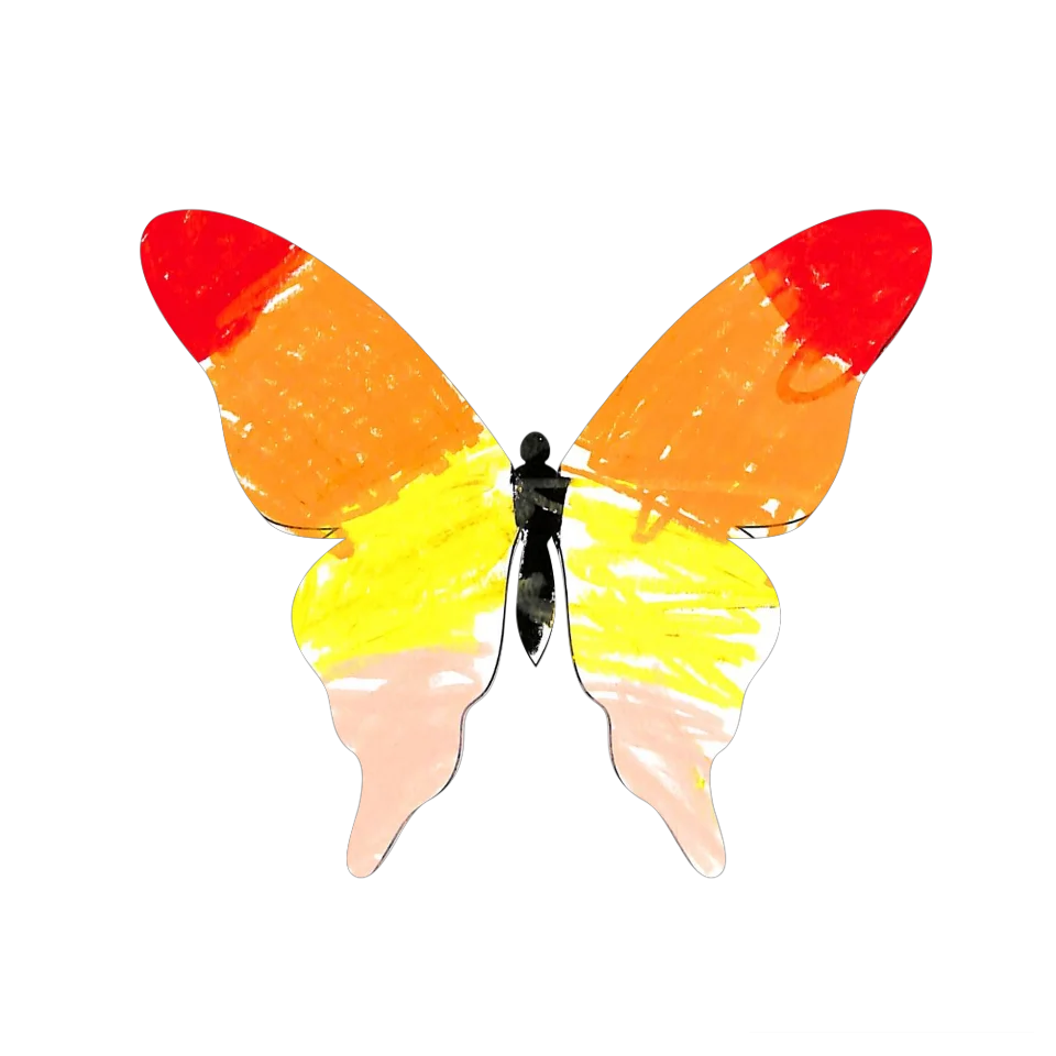 Original Butterfly Image