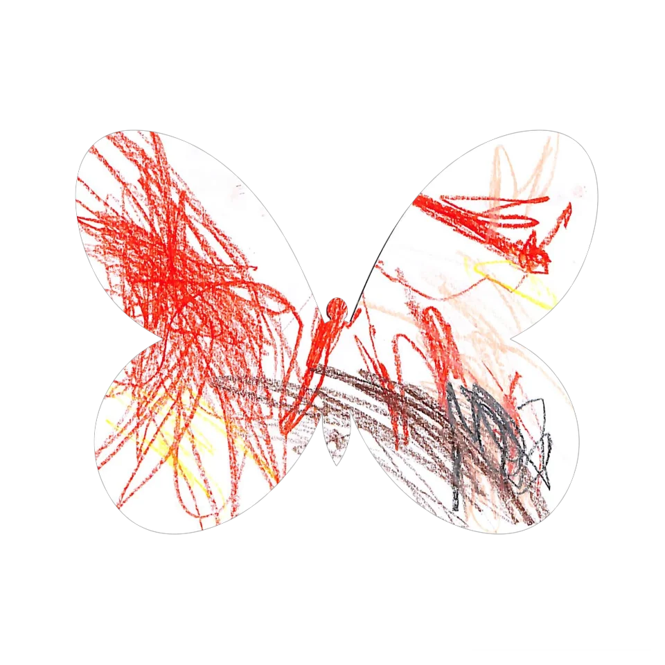 Original Butterfly Image