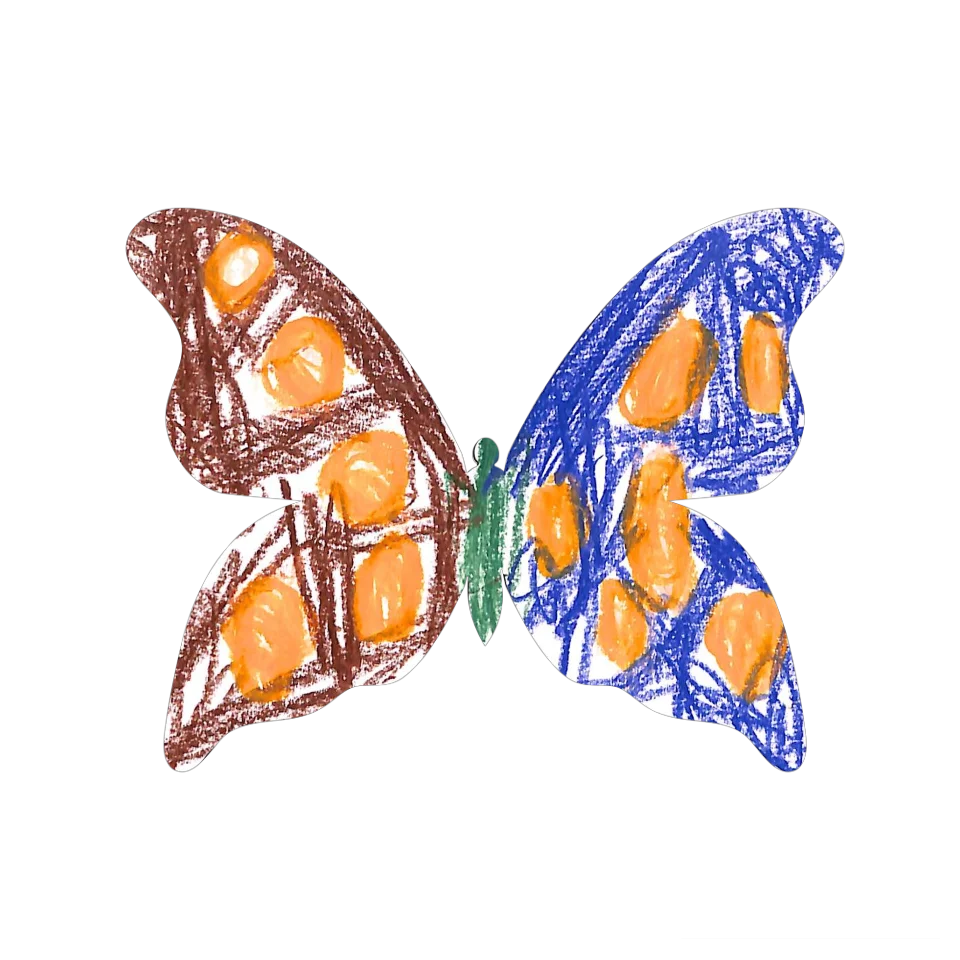 Original Butterfly Image