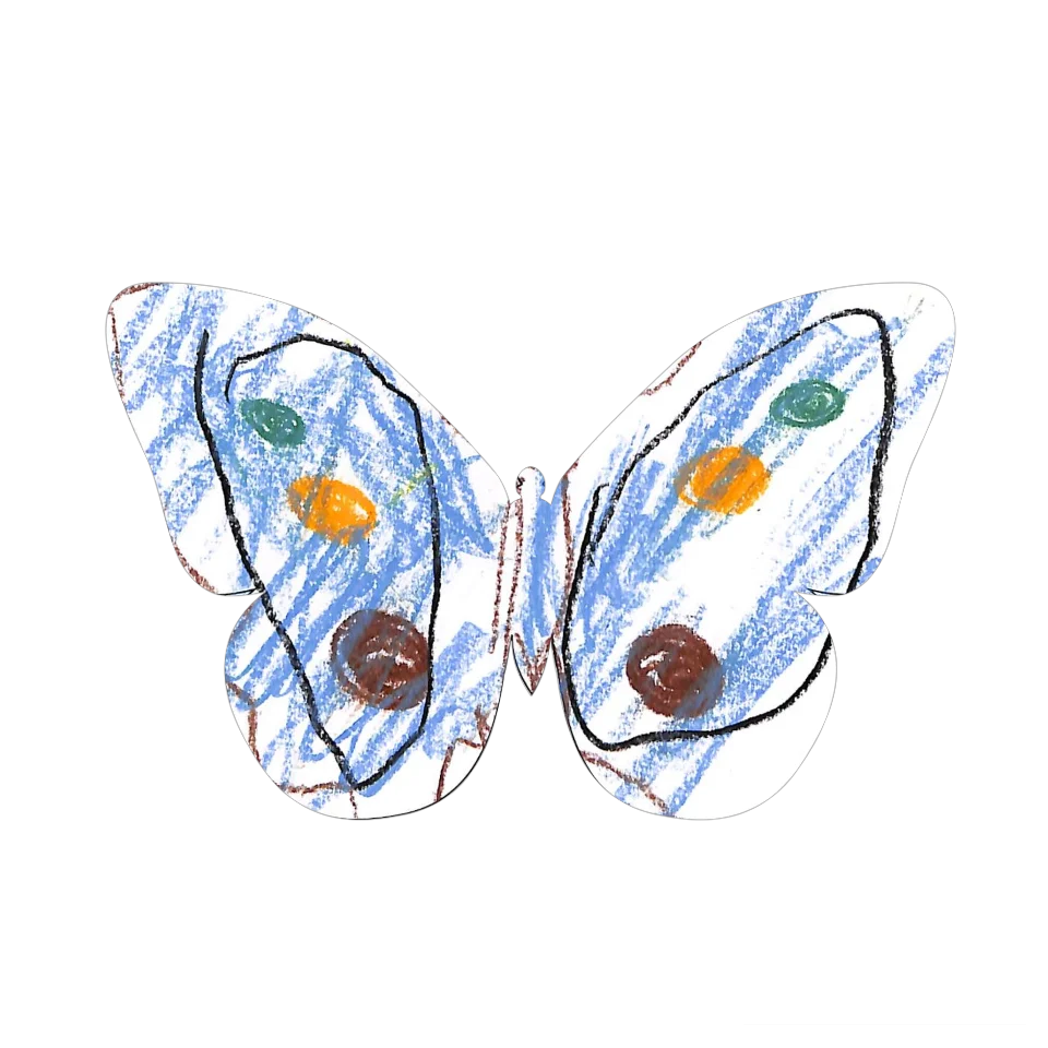 Original Butterfly Image