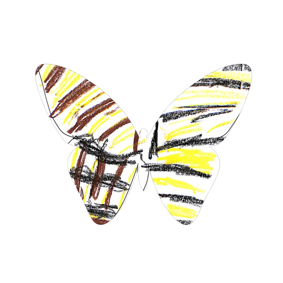 Original Butterfly Image