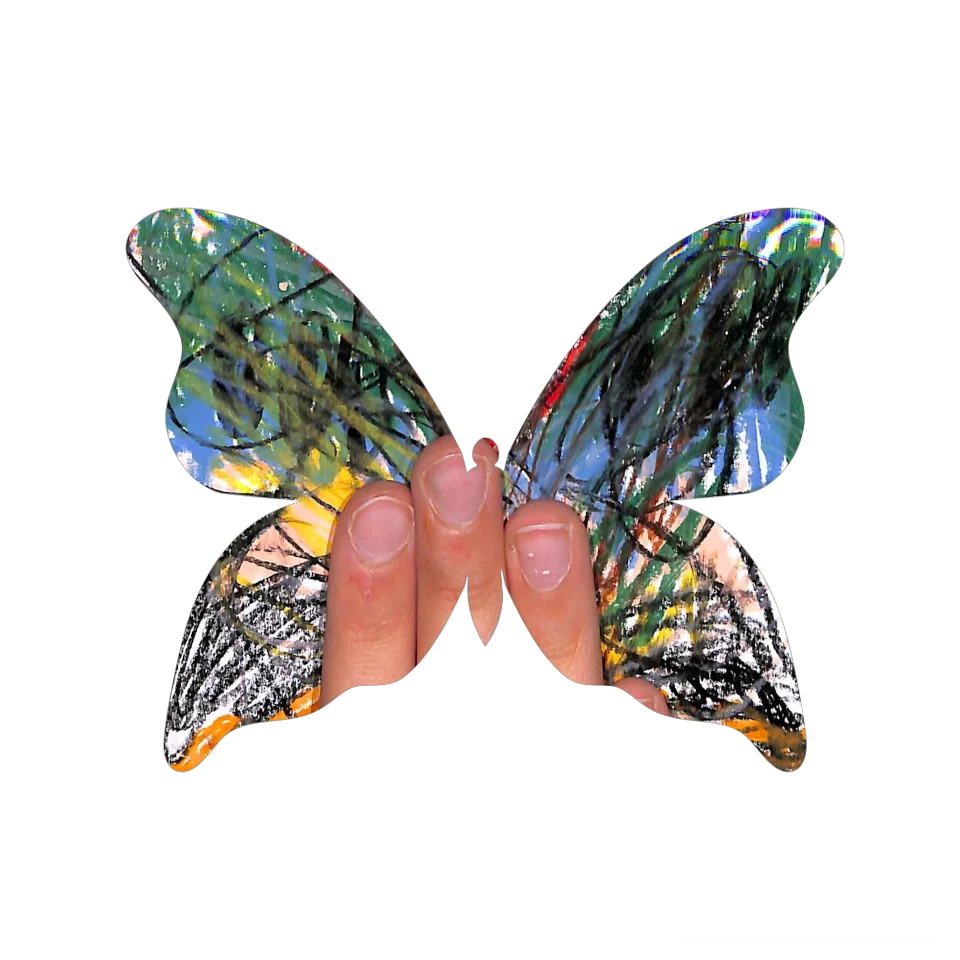 Original Butterfly Image