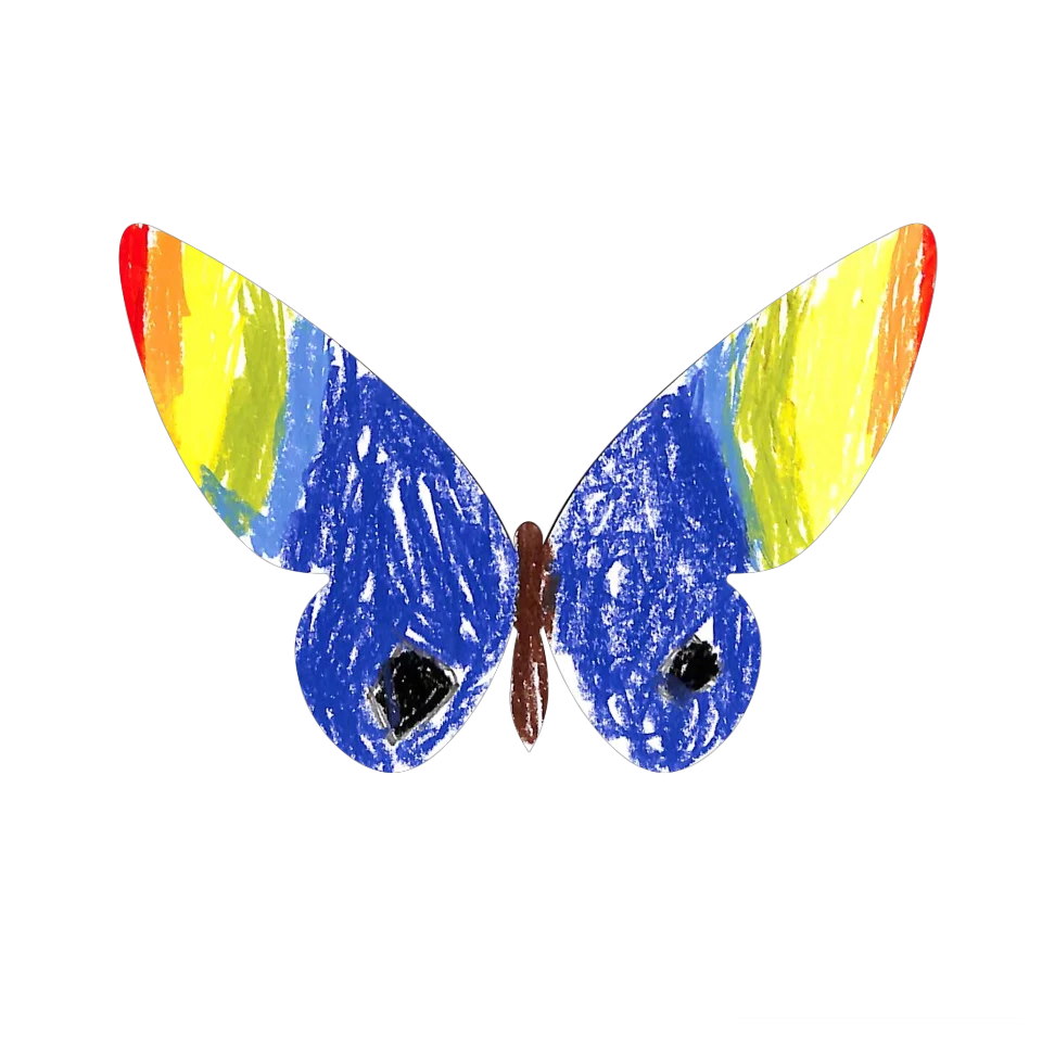 Original Butterfly Image