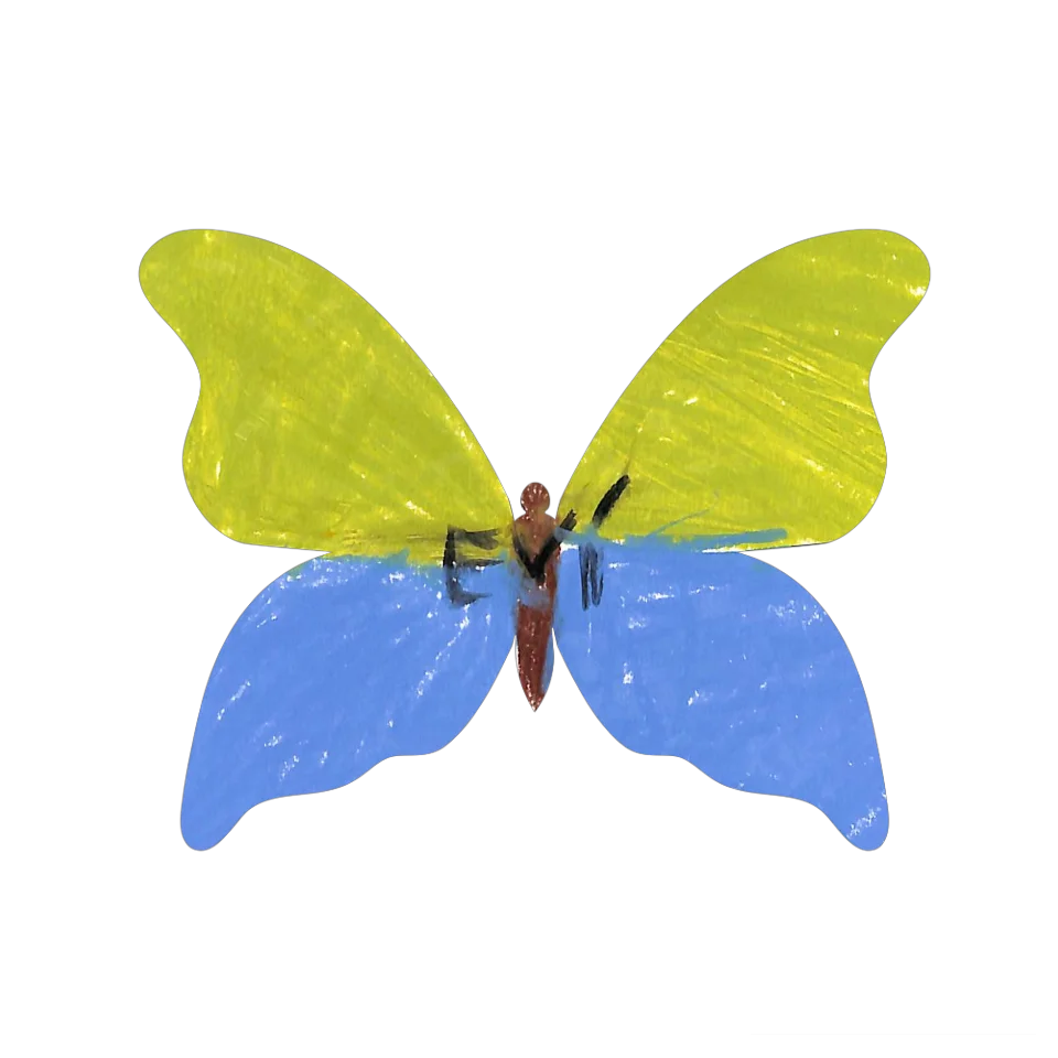 Original Butterfly Image