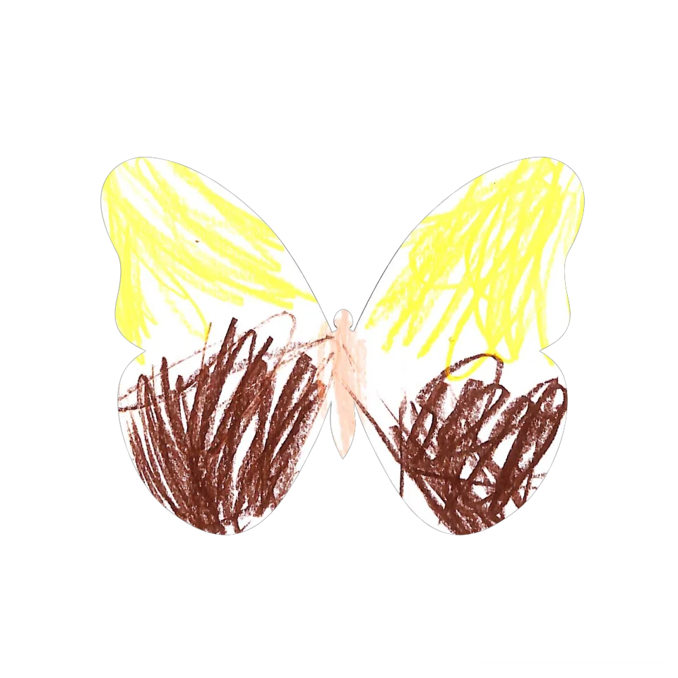 Original Butterfly Image