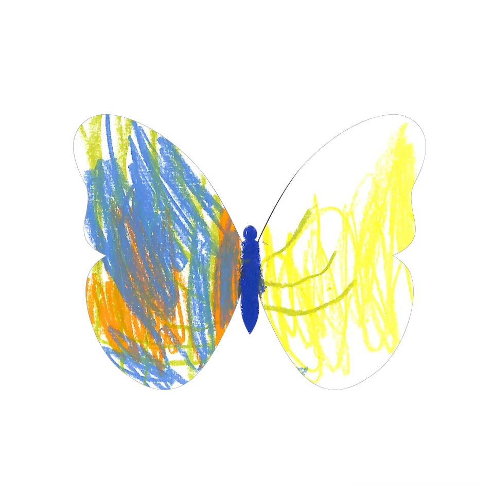 Original Butterfly Image