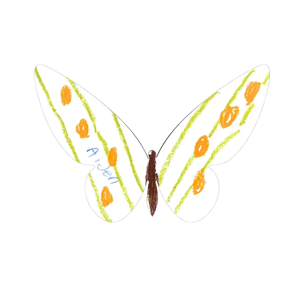 Original Butterfly Image