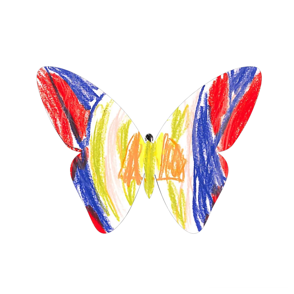 Original Butterfly Image