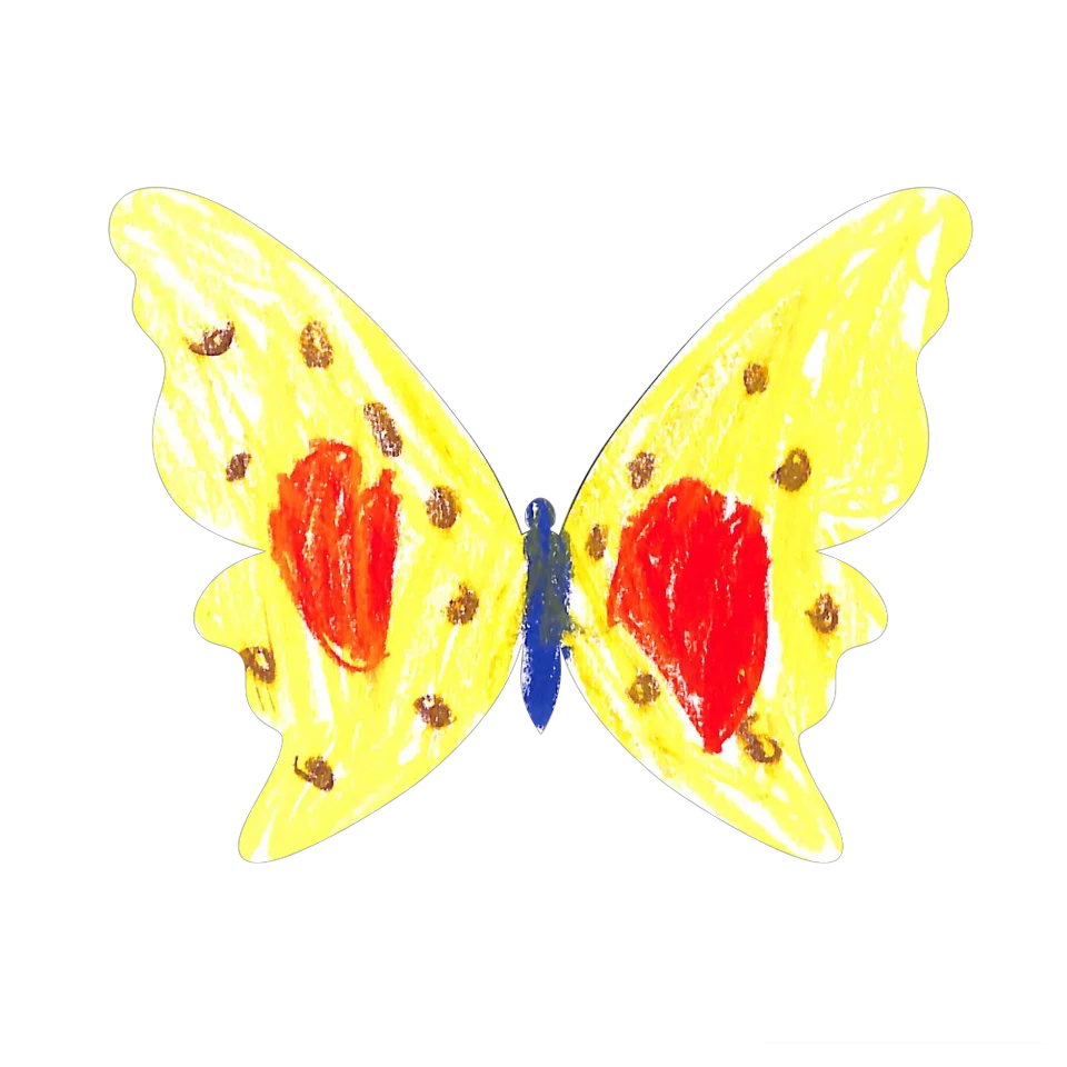 Original Butterfly Image
