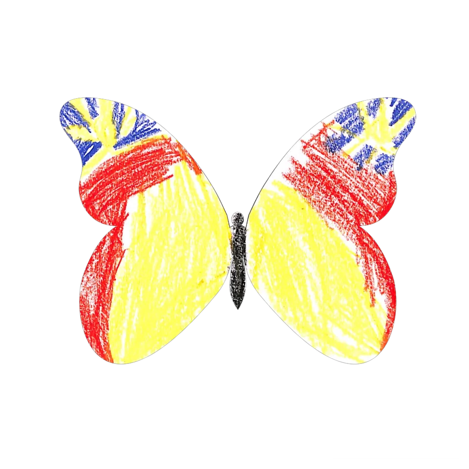 Original Butterfly Image