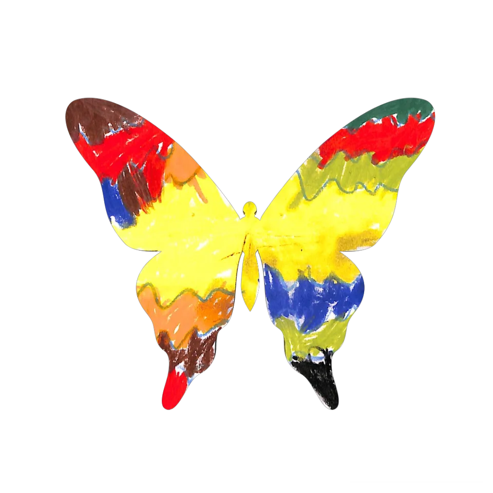 Original Butterfly Image