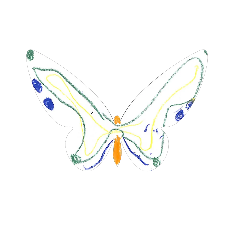 Original Butterfly Image