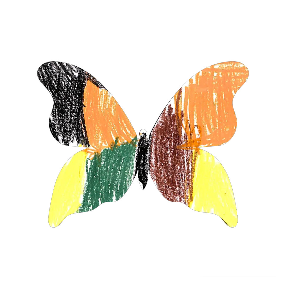 Original Butterfly Image