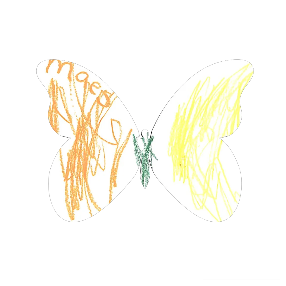 Original Butterfly Image