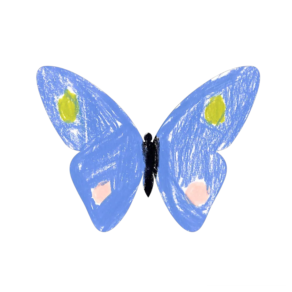 Original Butterfly Image