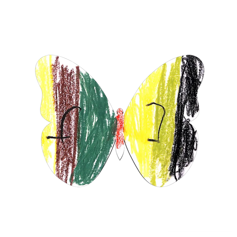 Original Butterfly Image