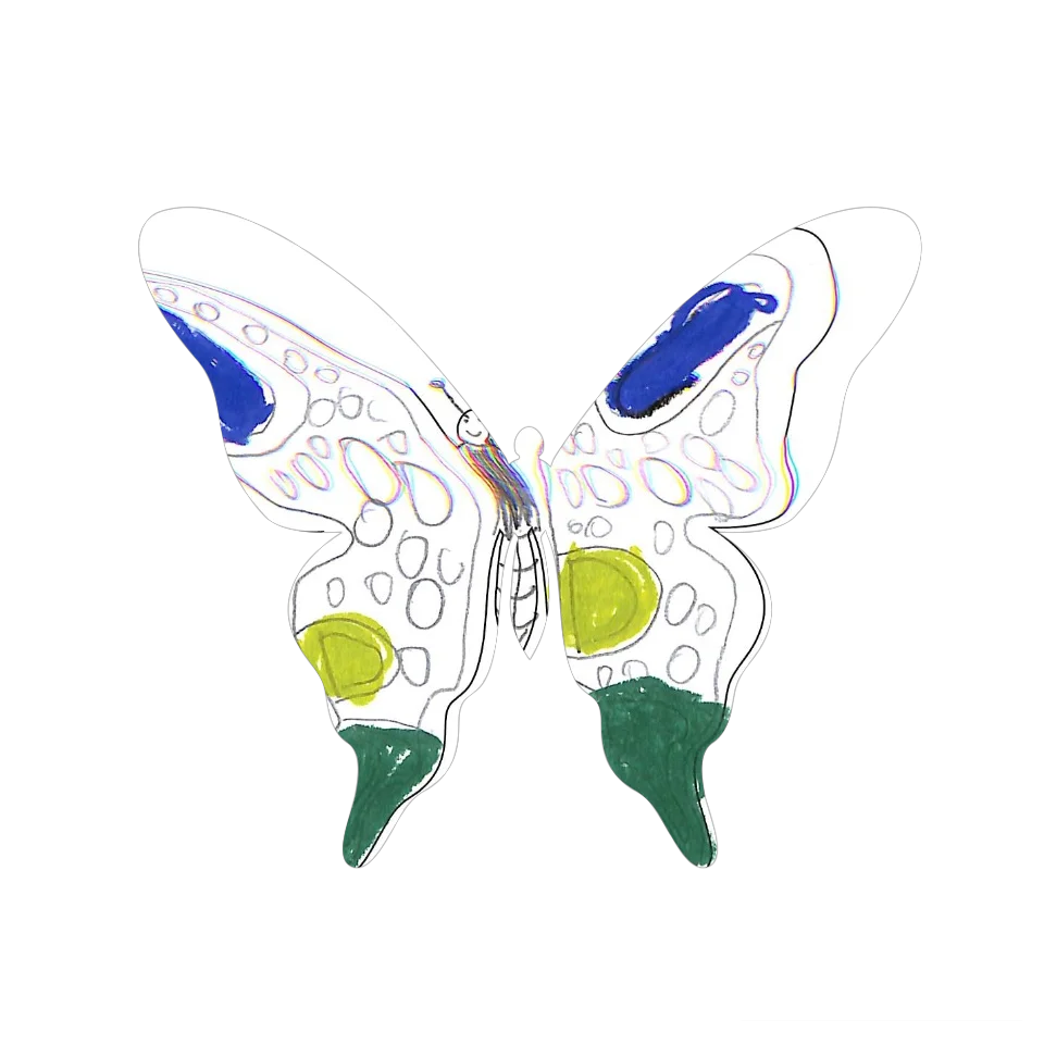 Original Butterfly Image