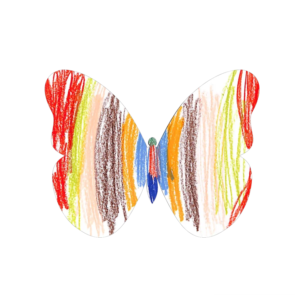 Original Butterfly Image