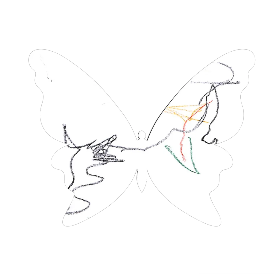 Original Butterfly Image