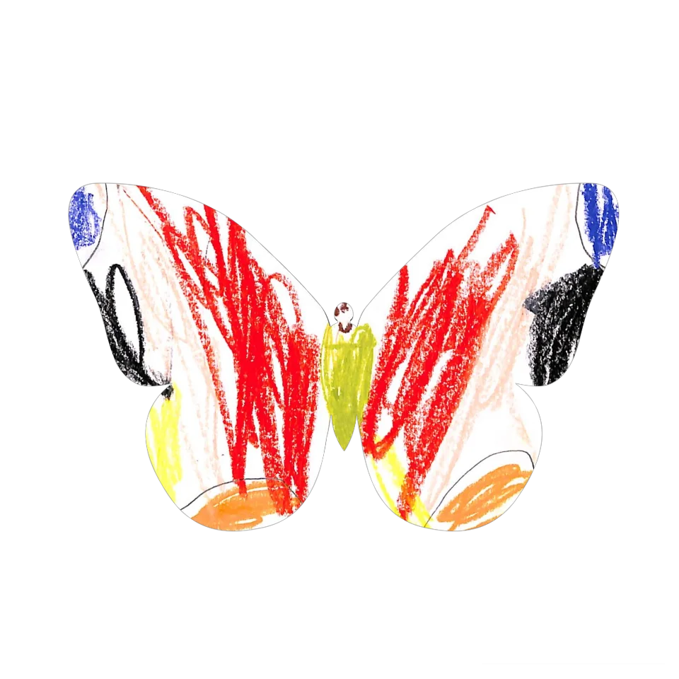 Original Butterfly Image