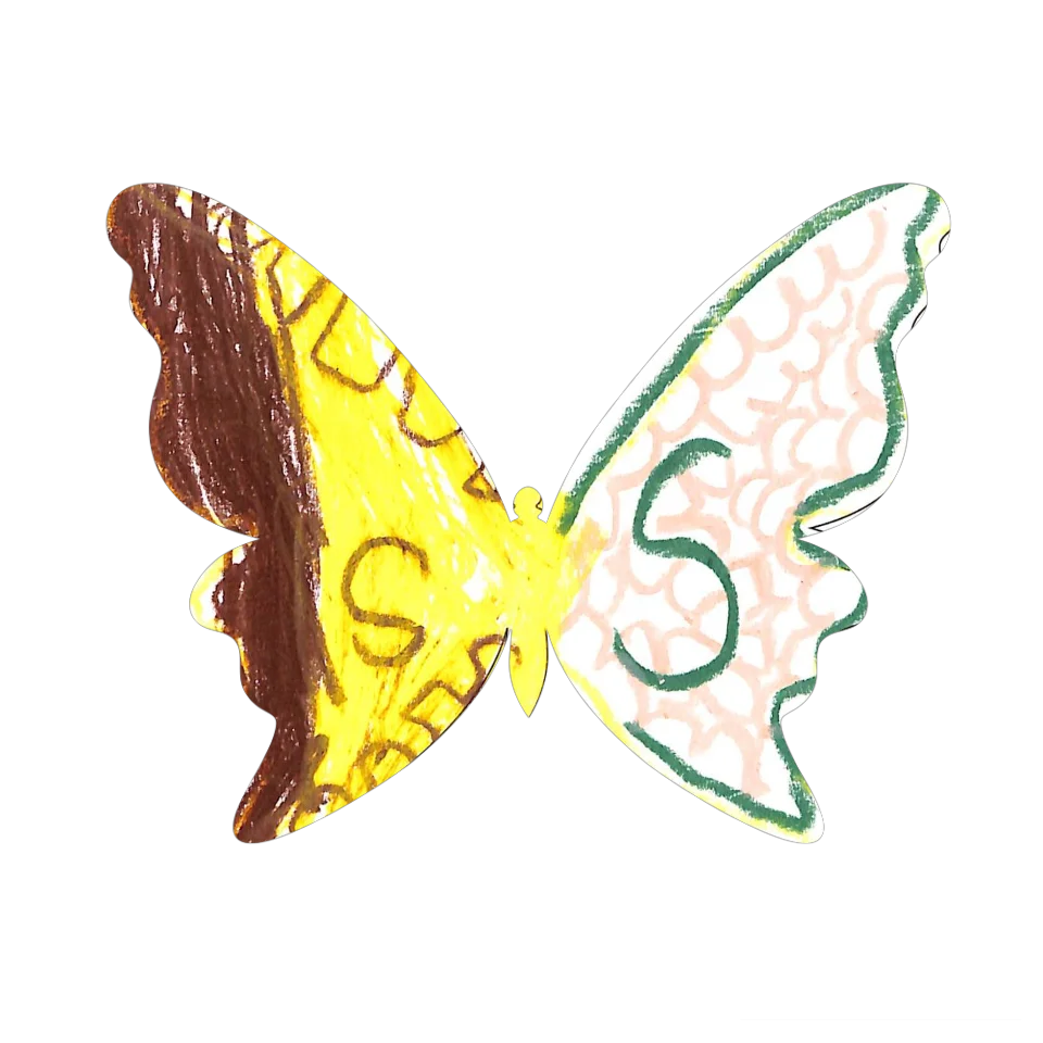 Original Butterfly Image