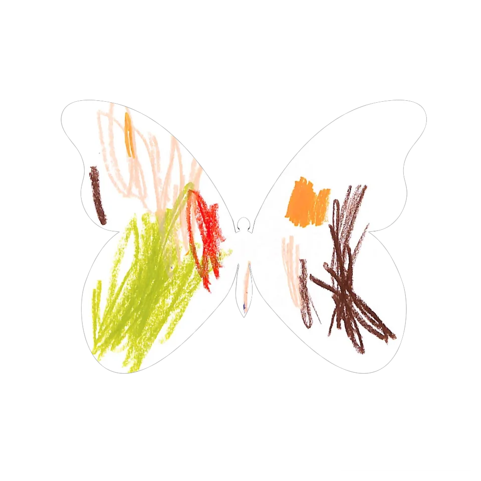 Original Butterfly Image